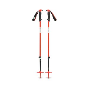 Traverse Ski Poles - Past Season
