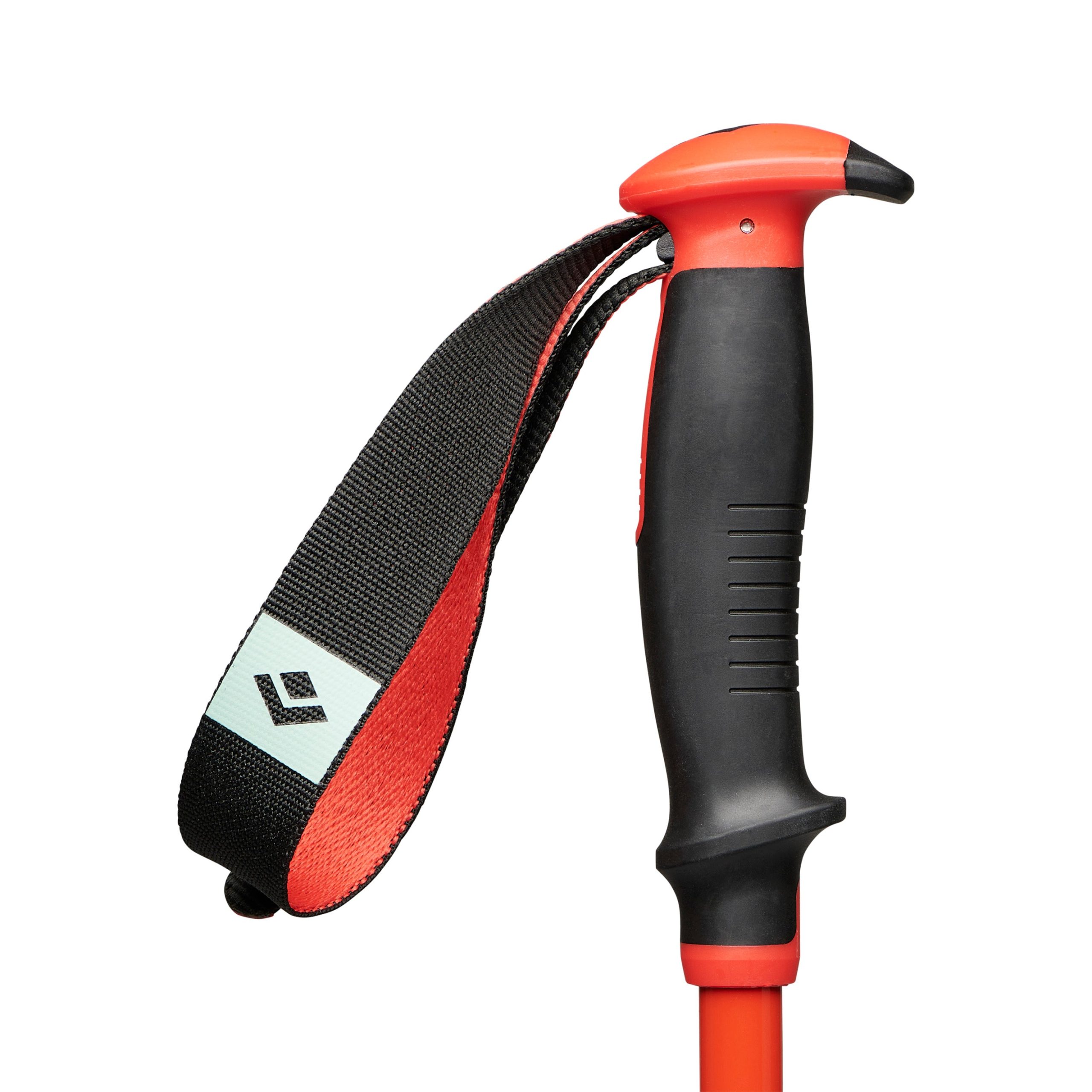 Traverse Ski Poles - Past Season - Image 3