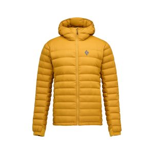 Men's Access Down 2.0 Hoody